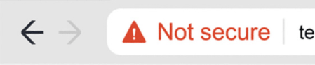Not secure warning in Google Chrome.